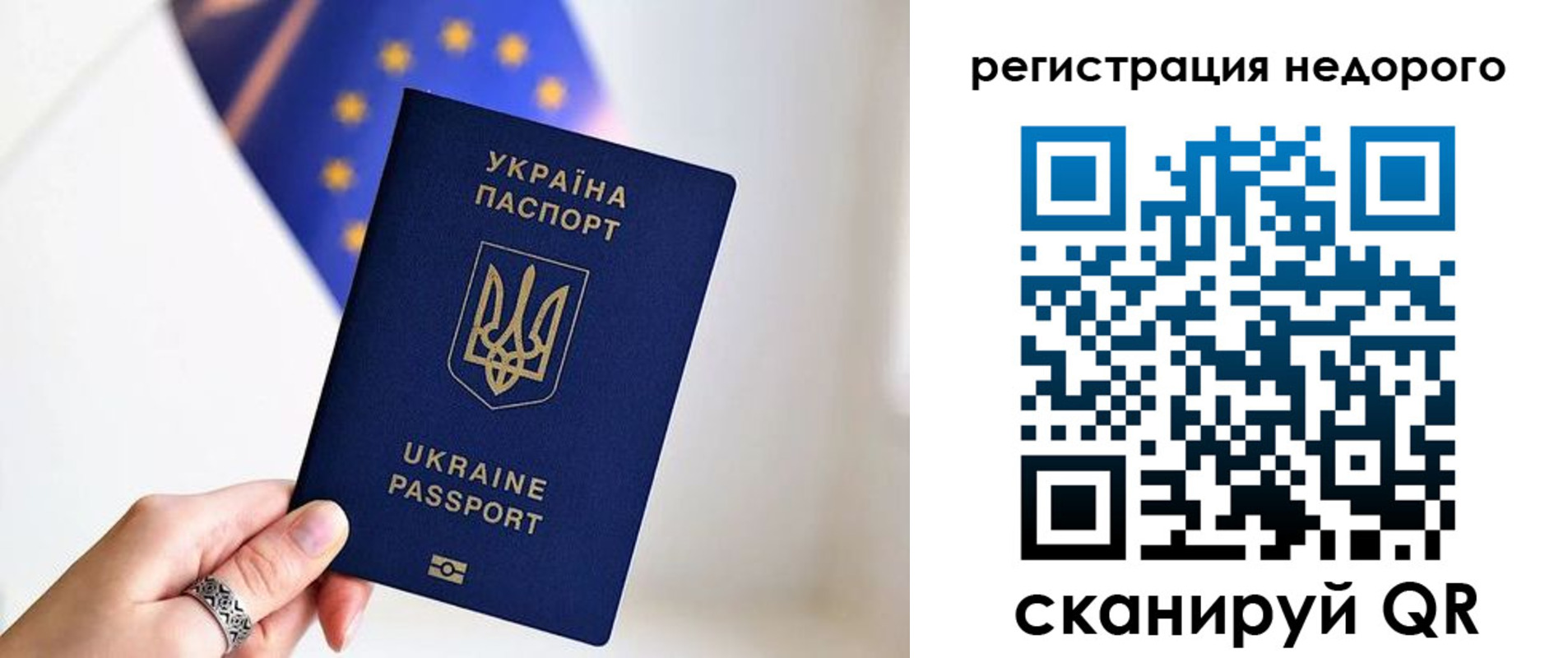 прописка 2025 в Миллерово